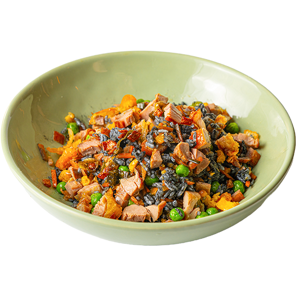 ARROZ FRITO NEGRO CON PATO